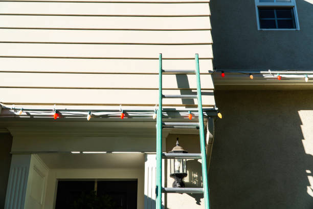 Best Demolition Debris Removal  in Tremont, IL