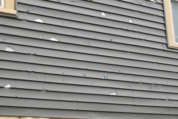 Reliable Tremont, IL Junk Removal Solutions