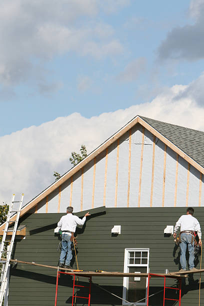 Best Shed Removal  in Tremont, IL